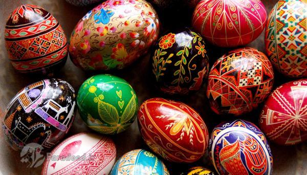 تخم مرغ های رنگی خانگی تخم مرغ های رنگی خانگی