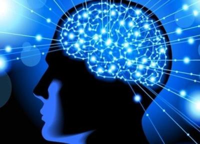 کسب و کار فعالان استارت آپی حوزه علوم شناختی رونق می یابد