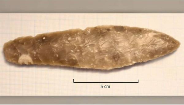 خنجر اسرارآمیز 3 هزار ساله که اتفاقی پیدا شد، عکس